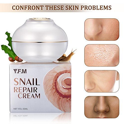 Y.F.M Schneckencreme, 50ml Snail Repair Perfect Cream Intensive Anti Falten Feuchtigkeitscreme mit...