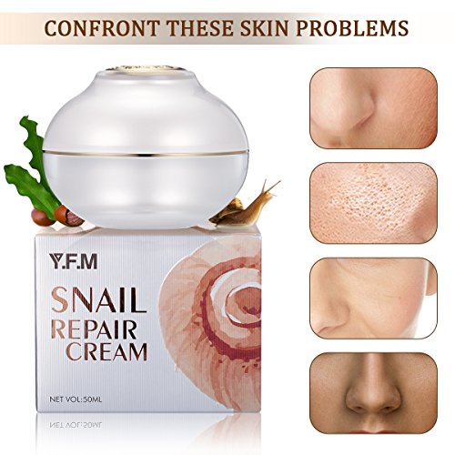 Y.F.M Schneckencreme, 50ml Snail Repair Perfect Cream Intensive Anti Falten Feuchtigkeitscreme mit...