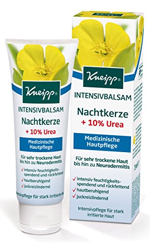 Kneipp Intensivbalsam Nachtkerze mit 10 % Urea, 1er Pack (1 x 75 ml)